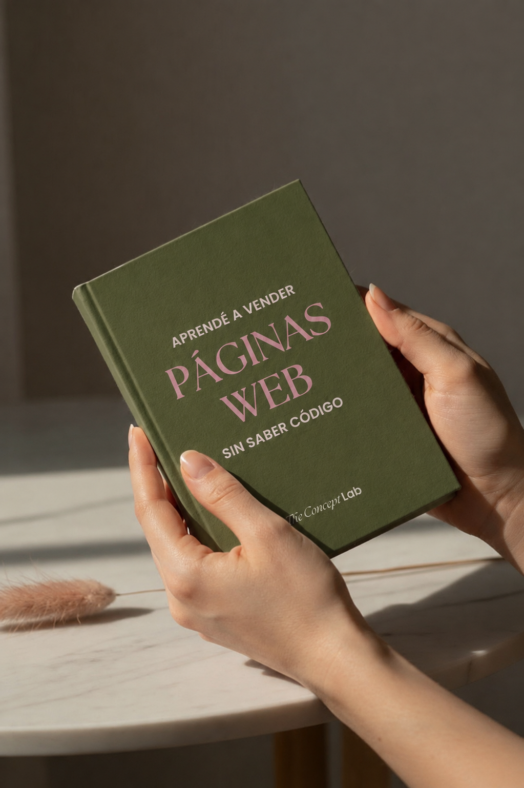 Kit Páginas Web SIN saber código | Kit Digital para emprender