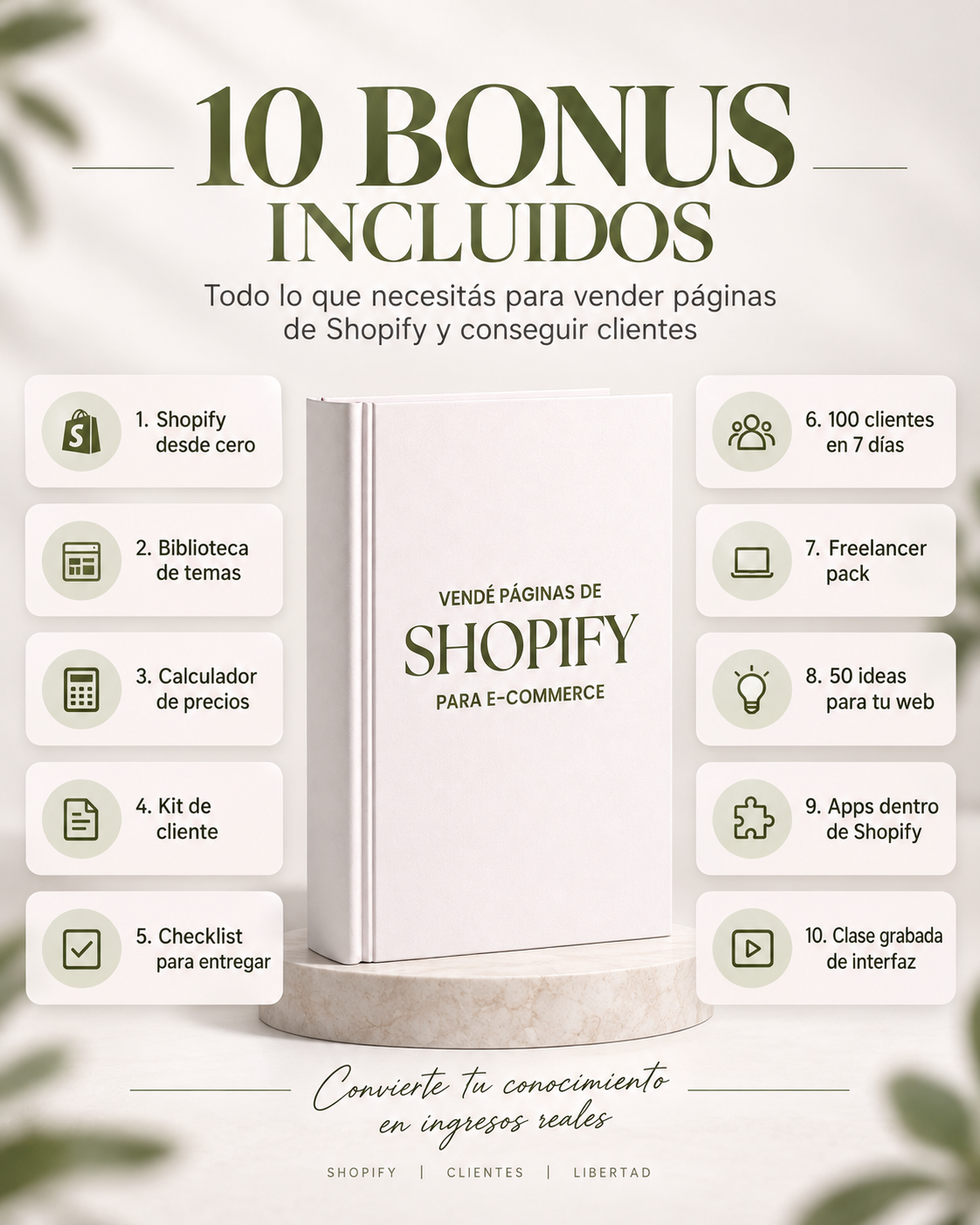 Kit Shopify | Creá tiendas E-commerce con Shopify